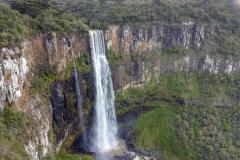Paraná anuncia expansão de área verde com novas Unidades de Conservação