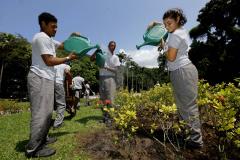 IAT oferece em parceria com o SENAC dois cursos gratuitos de capacitação: Espanhol Básico I e Técnicas Básicas de Jardinagem e Tratamento de Piscinas