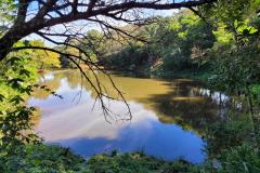 Foto de lago