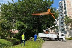 Operários em caminhão replantando grama