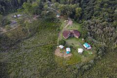 Foto aérea de floresta