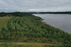 Foto aérea de floresta