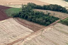 Operação do IAT identifica 17 hectares de desmatamento ilegal na região Oeste