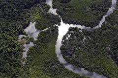 Foto aérea de rio cercado por vegetação