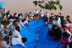 Programa Rio Vivo:Governo do Estado planeja repovoar os rios que cortam o Paraná com 10 milhões de peixes nativos até 2026