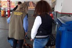 Foto de operação de fiscalização do IAT
