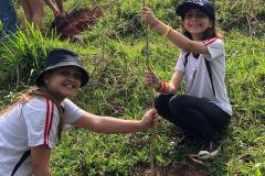 Duas crianças segurando uma muda recém plantada