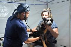 Em quatro meses, CastraPet Paraná atinge 63% dos municípios cadastrados no projeto neste ano