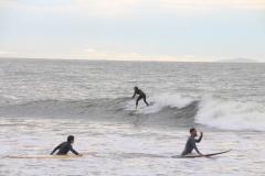 Surfistas surfando