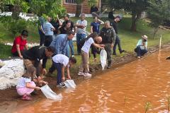 Crianças supervisionadas por adultos soltando os peixes na água