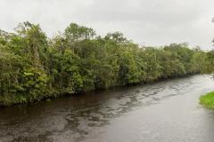 A Estação Ecológica Rio das Pombas terá quase 800 hectares e vai ajudar na preservação do ecossistema do Litoral do Paraná