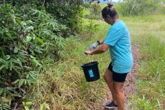 Foto de voluntários durante limpeza