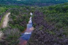 Parques do Paraná têm flora rica e cores exuberantes