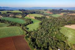 foto aérea de propriedades agrícola ao lado de árvores
