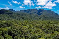 Visão aérea da mata atlântica paranaense