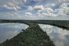 VEGETAÇÃO E RIO DO PARANÁ