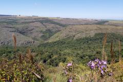 RPPN com flores no Paraná