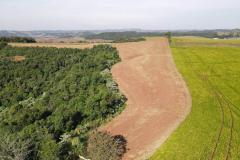 VISTA AÉREA DE VEGETAÇÃO