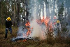 AGENTES CONTROLANDO FOGO