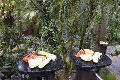 FRUTAS FRENTE A VEGETAÇÃO
