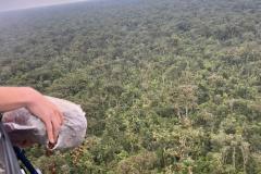 DISPERSÃO AÉREA DE SEMENTES