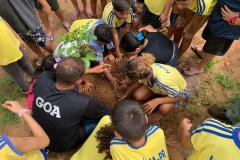 Ações elaboradas pelo IAT no Estado recuperaram mais de 6 hectares de mata ciliar em Áreas de Proteção Ambiental (APP)