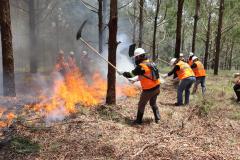 Foto de brigadistas voluntários combatendo incêndio
