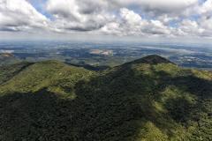 Foto aérea de parque