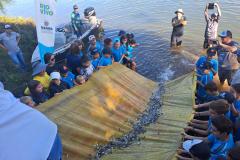 Foto de ação de soltura de peixes