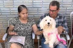 CastraPet Paraná fecha o 4º ciclo