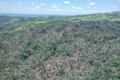vIAT identificou 478 hectares de área de vegetação danificada por fogo em quatro fazendas de Ribeirão Claro, no Norte Pioneiro