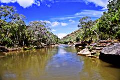 Foto de paisagem dos parques do Paraná