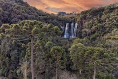 Foto de paisagem da Mata Atlântica do Paraná