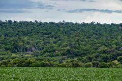 Foto de paisagem natural do Paraná