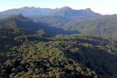 Foto aérea da Mata Atlântica