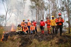 Dia do Voluntário: programas do IAT reúnem 1.594 pessoas em prol da preservação ambiental