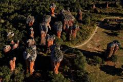 Ponta Grossa recebe 1ª Conferência Regional de Desenvolvimento Sustentável