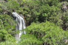 Foto de RPPN paranaense