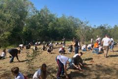 Foto de ação de plantio de mudas do IAT