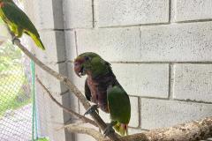 Foto de tratamento no PAAS Litoral