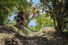 Foto do Parque Estadual do Palmito