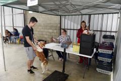 Foto de evento do Castrapet