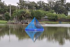 Foto de evento de lançamento de Caravela Ecológica