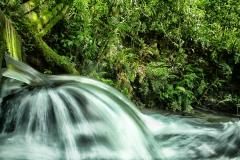 Foto de paisagem natural do Paraná