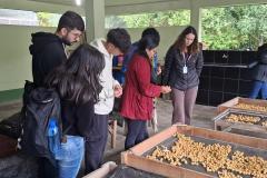 Foto de estudantes conhecendo viveiro do IAT