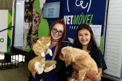 Pessoas atendidas por Vet-móvel