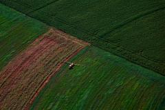 Foto aérea de plantação