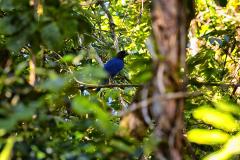 Foto de trilha do Parque Estadual Rio da Onça
