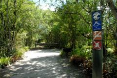 Governo reforça ação contra febre amarela nos parques estaduais
