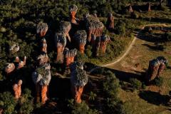15 parques estaduais oferecem atividades especiais no domingo
